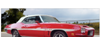 1971 Pontiac Lemans GT-37 Mid Body Stripe Kit